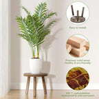 5-Pack Wood Plant Stands Indoor, Single Plant Stand for 6-12 Inch Pots, Mid-Century Modern Plant Stool, Tall Plant Stand for Large Plants for Living Room, Balcony, Office (Dark Brown) - Image 5