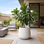 Kante Modern Home Minimalist 18.1" Dia Patina Concrete Curved Planter - Image 4