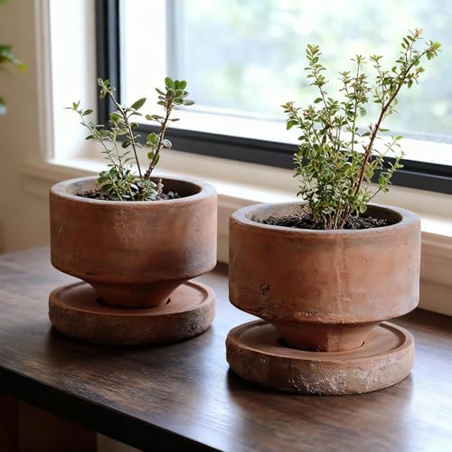 Yungyan 2 Set 4.3'' Rustic Terracotta Plant Pot with Drainage Saucer Vintage Breathable Clay Planter Farmhouse Flower Pot Distressed Finish for Flower Succulent Modern Home Garden Decor(Round) - Image 6