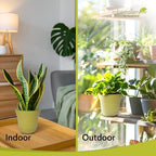 Headwind Traverse Planters – 14" 2 Pack Plastic Plant Pot in Meadow Green - Indoor & Outdoor Pots for Plants with Drainage - Decorative Plant Pot, Flower Pots Outdoor for Garden by Robert Allen - Image 7