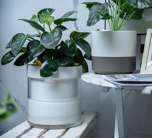 Phoenix Vine 10 Inch Self Watering Planter, White Terracotta Clay Pot with Glass Reservoir for Indoor Plants, Herbs, Flowers, Set of 1, 52-B-I-1 - Image 4