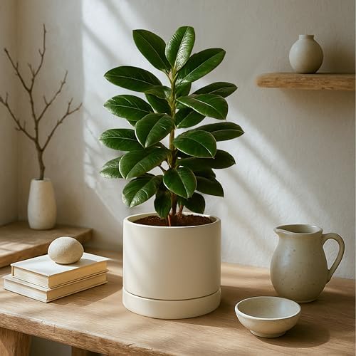 Phoenix Vine 8 Inch Planter Pot with Drainage Hole & Saucer, Deep Water Catch Tray, Straight Cylindrical Round Pot for Plants, Oatmeal, Pack of 2, 23-E-T-2 - Image 2