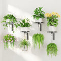 LASZOLA Plant Hanger Holder Window Shelf Wall Mounted Indoor, 4 Pcs Black by LASZOLA
