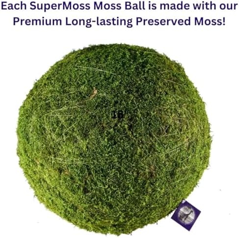 SuperMoss (21679 Moss Balls – Preserved Decorative Moss Balls for Home Décor, Vase Fillers, Centerpieces, Terrarium & Wedding Décor, Natural Green Moss Décor Balls, 18", Fresh Green - Image 4