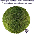 SuperMoss (21679 Moss Balls – Preserved Decorative Moss Balls for Home Décor, Vase Fillers, Centerpieces, Terrarium & Wedding Décor, Natural Green Moss Décor Balls, 18", Fresh Green - Image 4