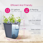 2 Hydroponic Buckets Kit for Plants, Hydroponics Growing System for Herbs/Tomato/Vegetables, DWC System with Air Pump & Germination Tray (Complete Indoor Hydroponic Gardening Supplies) - Image 2