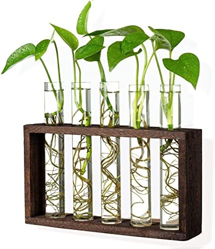 Wall Hanging 5 Test Tube with Wooden Frame and 2 Cylindrical Propagation Vase for Water Plants, Home Office Living Room Decor, Gift for Plant Lovers - Image 2