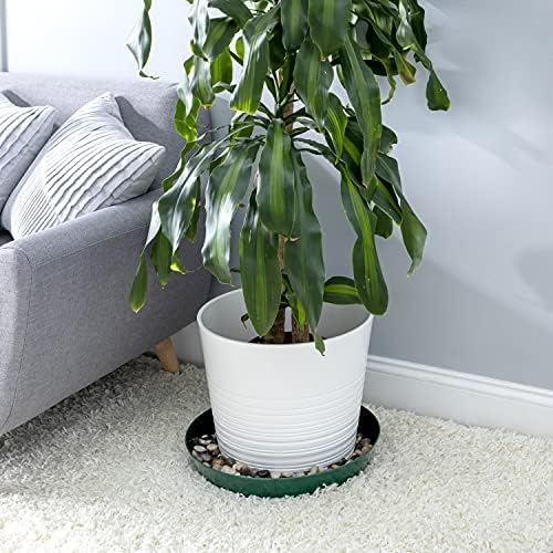 Plant Saucers 14 Inch, Case of 5, Hunter Green - Image 6
