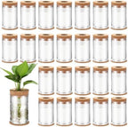 Baderke 24 Packs Plastic Desktop Plant Terrariums Propagation Planter Tabletop Planting Vase with Lid and Cork Plant Coasters for Growing Hydroponic Home Office Table Decoration(Classic Style) by Baderke