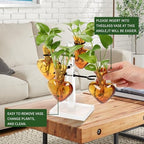 Plants Propagation Stations Plant Terrarium Kit Gift for Women - Image 4