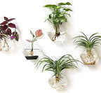 Kingbuy Wall Hanging Planter Glass Propagation Terrarium 3 Hexagon Shape and 4 Egg Shape Flower Vase for Home Office Christmas Decor - Image 2