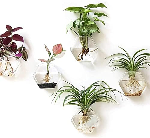 Kingbuy Wall Hanging Planter Glass Propagation Terrarium 3 Hexagon Shape and 4 Egg Shape Flower Vase for Home Office Christmas Decor - Image 2