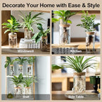Propagation Vases for Plants, Set of 6(3 Large & 3 Small) Glass Plant Propagation Stations, Plant Propagation Jars for Home Office Windowsill Tabletop Decoration (6) - Image 5