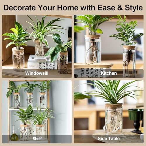 Propagation Vases for Plants, Set of 8(4 Large & 4 Small) Glass Plant Propagation Stations, Plant Propagation Jars for Home Office Windowsill Tabletop Decoration (8) - Image 5