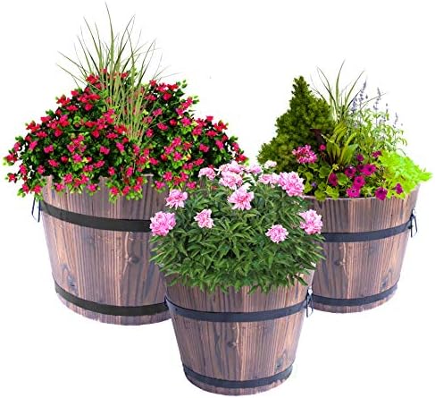Wooden Whiskey Barrel Planters (Set of 3) by Gardenised