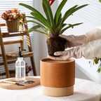8 Inch Ceramic Self Watering Planter with Drainage Hole Terracotta - Image 6