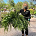 UV Resistant Lifelike Artificial Boston Fern - 2024 New Faux Boston Ferns Outdoor Planter Large, Realistic Fake Feen Hanging Silk Fern Stems Indoor Basket Plant Urn Fillers Front Porch (4, Green) by YTCPMHEA