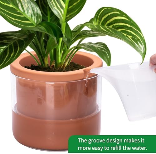 Phoenix Vine 8 Inch Self Watering Planter, Design Terracotta Pot for Plants, Indoor Cylinder Terra Cotta Pot with Glass Vase, Set of 1, 51-A-H-1 - Image 5