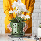 EFISPSS Orchid Pots with Holes, 7 Inch Orchid Pots with Drainage Holes and Tray, Indoor or Outdoor Large Pot for Orchid Care,Durable for Repotting or New Plants - Green - Image 5