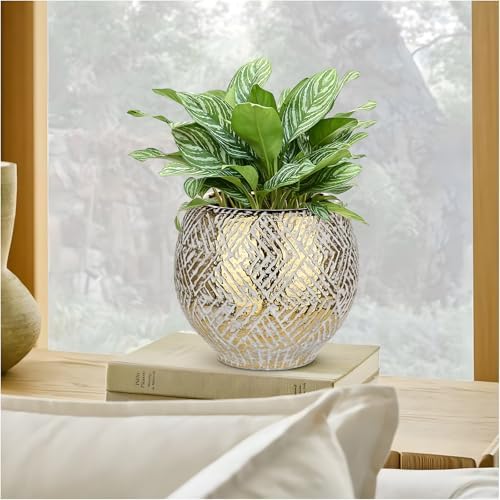 Ceramic Plant Pots for Plants Indoor 7.5 Inch Round Gold and White Flower Pot Gilded Decorative Planter with Drainage Hole and Saucer Modern Ceramic Pot for Succulents Orchids Cactus Herbs Home Decor - Image 2