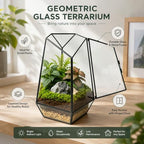 Ferrisland Glass Geometric Plant Terrarium, Clear Glass Succulent - Image 6