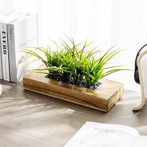 MyGift Artificial Grass Plant in Rectangular Wood Planter (Acacia, 10 Inch) - Image 3