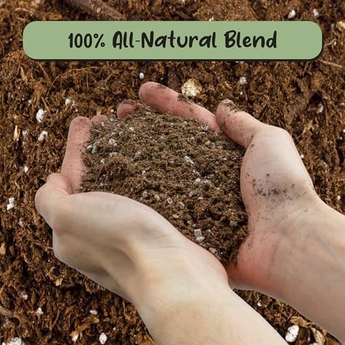 Soil Sunrise Olive Tree Potting Soil Mix (12 Quarts) for Planting, Repotting, and Growing Olive Bushes/Plants - Image 3