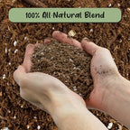 Soil Sunrise Olive Tree Potting Soil Mix (12 Quarts) for Planting, Repotting, and Growing Olive Bushes/Plants - Image 3