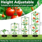 ZeeDix 6 Pack 65 Inch Heavy Duty Tall Tomato Cages for Garden - Image 6