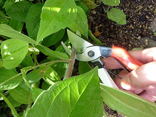 Okatsune 103 Bypass Pruners General Purpose Medium (One Pack) - Image 6