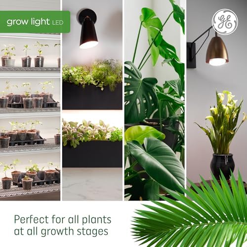 GE Grow Lights for Indoor Plants, A19 LED Light Bulbs for Seeds and Greens with Balanced Light Spectrum, White Indoor Plant Light, 25,000 Hours Lifespan, 16 PPF, 4 Pack (Packaging May Vary) - Image 6