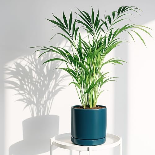 D'vine Dev 4.7 Inch & 6.5 Inch Ceramic Planter Pots for Plants with Drainage Hole and Saucer, Small Plant Pots Set, Teal, 94-G-S-9 - Image 2