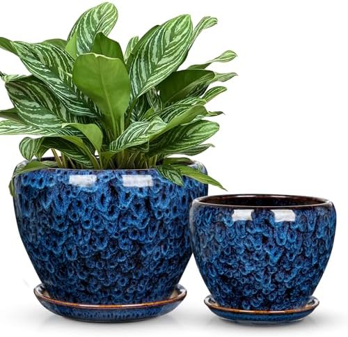 Hollyone 9+7 Inch Ceramic Planter Set of 2 Blue Ceramic Plant Pot for Plants Flowers with Drainage Hole and Saucers Ceramic Glaze Round Plant Pot Indoor Outdoor Large Succulent Orchid Flower Pot by Hollyone