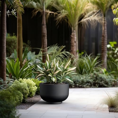 Kante Accent Round Pedestal Black Concrete Planter 17.7" Dia, Outdoor - Image 6