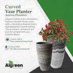 Algreen Products Vase Planter - Drainage Hole - 12 x 12 x 20.5 in - Resin - Image 3