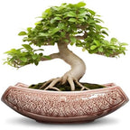 Large Bonsai Pots - 18 Inch Ceramic Succulent Pots with Drainage Hole, Bonsai Planter for Indoor Outdoor Plants, Ceramic Flower Pot, Decorative Plant Pot, Home Decor, Birthday Gifts, Red-Brown by Teagas