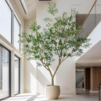 10FT Artificial Olive Tree with Realistic Leaves & Natural Trunk, Faux Silk Olive Plant in White Planter, Tall Fake Tree for Modern Home Office Living Room Entryway Corner Decor, Maintenance Free - Image 5