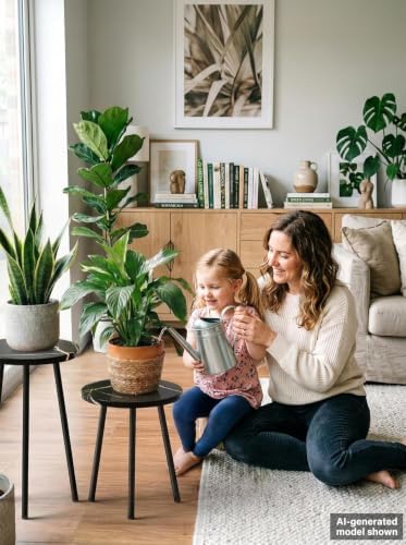 Plant Stand Indoor 2 Pack: Indoor Plant Stand Mid Century Modern Decor - Image 3