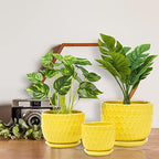 Yellow Ceramic Flower Pots with Saucers, Modern Round Ceramic Succulent Plant Pots with Honeycomb Inspired Texture Design, Small to Medium Sized, Set of 3 - Image 2