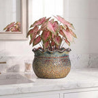 Ceramic Pots for Plants, 8 Inch Plant Pot, Yellowish Brown - Image 5