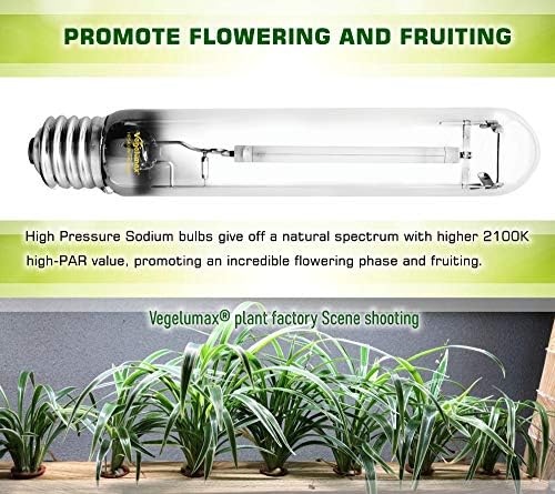 2-Pack 400W HPS Super Grow Light Bulb,High PAR Enhanced Red and Orange Spectrum for Horticulture Plant Growth Flourishing,CCT 2100K,Ultra Bright 55,000Lumens,E39 Base - Image 6