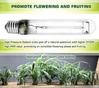 2-Pack 400W HPS Super Grow Light Bulb,High PAR Enhanced Red and Orange Spectrum for Horticulture Plant Growth Flourishing,CCT 2100K,Ultra Bright 55,000Lumens,E39 Base - Image 6