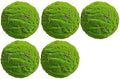 Green Artificial Moss Balls, Handmade Sphere Moss Hanging Balls for DIY Wedding Party Home Hotel Decoratio, Hangin Plants Landscape Landscaping Ball (Color : Diameter: 30cm/11.81in, Size : 5pcs) by WIGING
