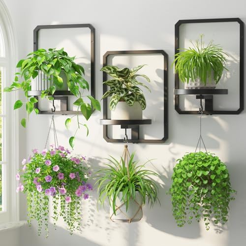 LASZOLA Plant Picture Frame Holder Shelf Wall Window Indoor, 3 Pcs Black by LASZOLA
