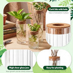 6 Sets Glass Plant Propagation Vases Cork Lid, 3 Size Desktop - Image 3