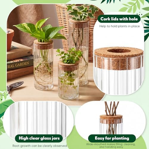 6 Sets Glass Plant Propagation Vases Cork Lid, 3 Size Desktop - Image 3