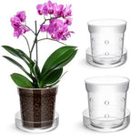 Baderke 2 Pcs Orchid Pot with Drainage Holes and Tray Transparent Glass Pot Planter for Orchids Flower Repotting Anti Slip Glass Plant Vase for Indoor Outdoor Home Decor (4 Inch + 6 Inch) by Baderke