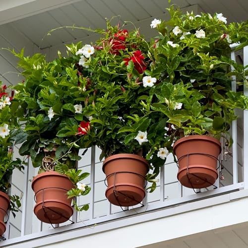 Bloem RailScapes Railing Plant Clip for 1/2" - 3/4” Narrow Spindles, 3-Pack - Image 4