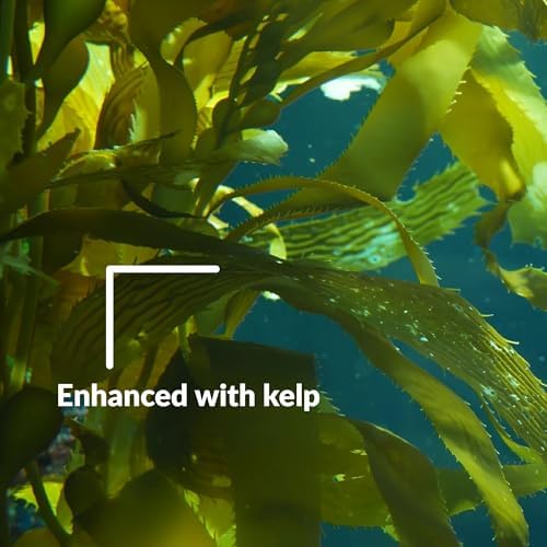 SUPERthrive Vitamin Solution with Kelp, Liquid Concentrate, 1 Pint - Image 5