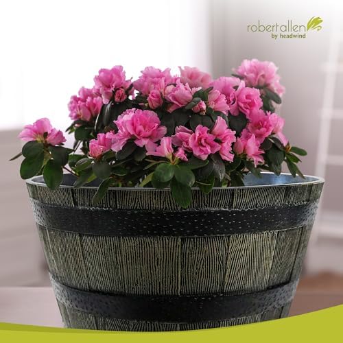 Headwind Whiskey Barrel Planter – 15 Inch Old Wood Barrel Planters for Outdoor Plants – Weather-Resistant Flower Pot with Wooden Finish – Decorative Indoor & Outdoor Garden Planter by Robert Allen - Image 4
